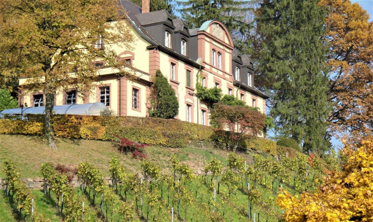 Wein Lodge Durbach - Josephsberg المظهر الخارجي الصورة